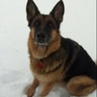 Stuart Tait (@cindersfan) 's Twitter Profile