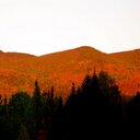 Lorraine Duvall - @loradk1 - Twitter