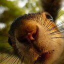 mateo escobar - @ocselava - Twitter