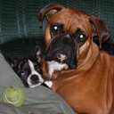 Amber Murdock - @aimurdock - Twitter