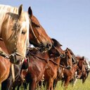 Stella Guzmán - @stellaguzmaan - Twitter