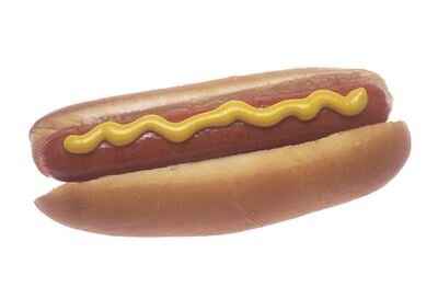hotdogfact's profile picture. I just love hotdogs. actually I am a hotdog.