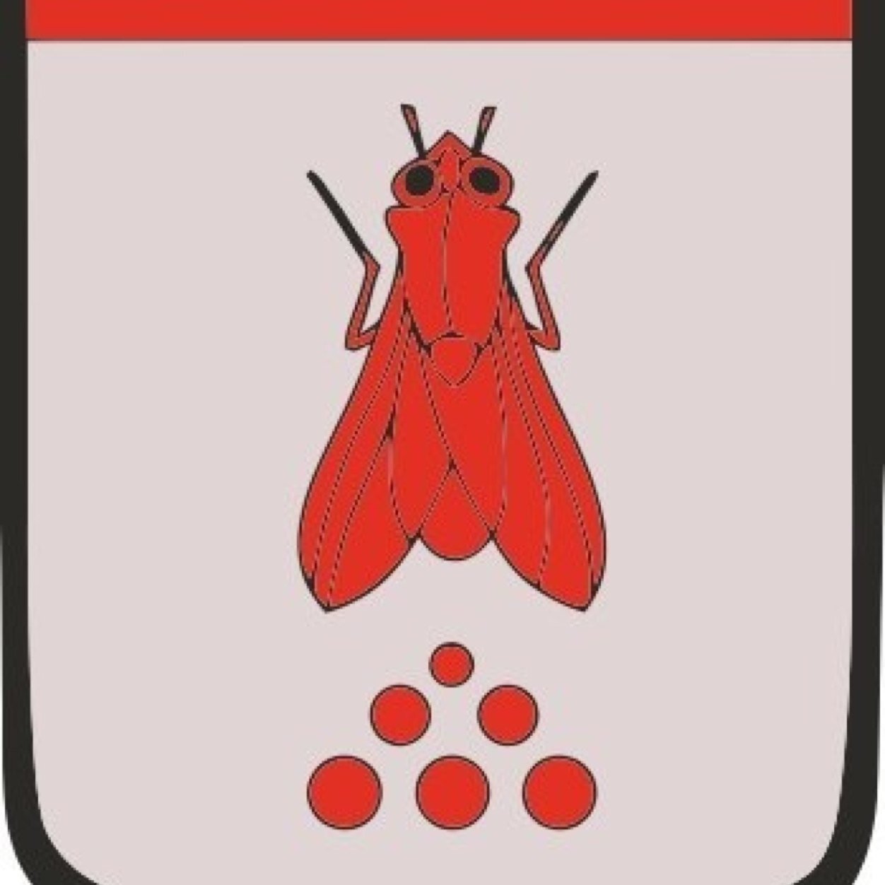футбол, алкогол, пи*дабол