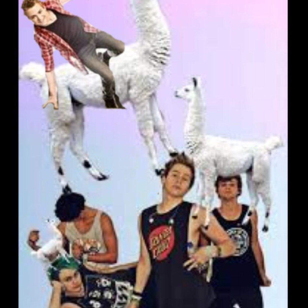 Our main accounts: @Hella_Hxmmings -Kacey and @5sauce_yolo -Cheyenna Signoffs: Kacey = ~K. Cheyenna = -C