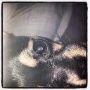 PatriciaCensoni's profile picture. Passion, Patience, Perseverance