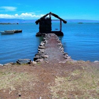 Hui o Kuapā is a 501(c)(3) nonprofit organization founded in 1989 for the purpose of supporting Native Hawaiian fishpond restoration, education & research.