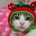 Leung Helen (@helenleung800) Twitter profile photo Leung Helen (@helenleung800) Twitter profile photo