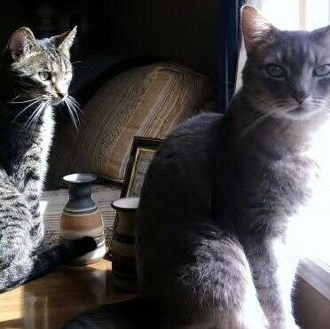 pahinkle35's profile picture. 