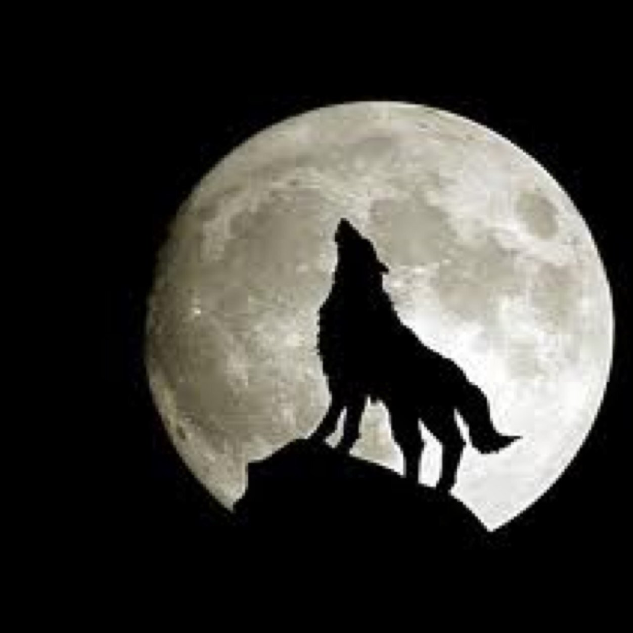 1993Clowm's profile picture. 気が向いたときに、なんとなく活動する 気分屋です。( ^ω^ )