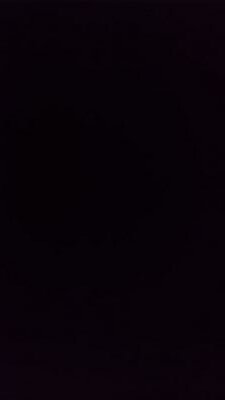 Pookmaker's profile picture. The Kyuju's