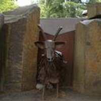 Ryan Nail (@garbagegoat) 's Twitter Profile