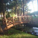 Ana Graciela Serrano - @anagracielaserr - Twitter