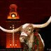 Howl Meow Howl (@longhornlube) Twitter profile photo Howl Meow Howl (@longhornlube) Twitter profile photo