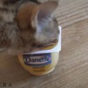 DanetteLeChat's profile picture. Tellement sexy, tellement bear, tellement sugar daddy, tellement Sean Connery, tellement RRRrrrRRR