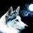 Alexander01_HD's profile image