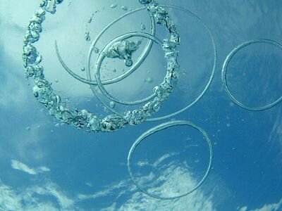 elmejor2752004's profile picture. 