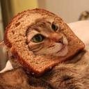 Sophiecucs's profile picture. Peligrosamente torpe. Juro solemnemente que mis intenciones no son buenas. Tengo un océano de conocimientos de 1 cm de profundidad.