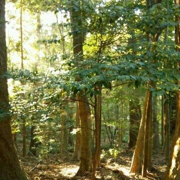 thankyoujoy's profile picture. いろんなことがおきるね。

皆さんの情報で迷わずに済んでいます。感謝です。

善意の投稿、残念な投稿。tweet上には色々ありますが選択は自己責任です。
少しでも多くの人がこの災厄から助かりますように💕🙏