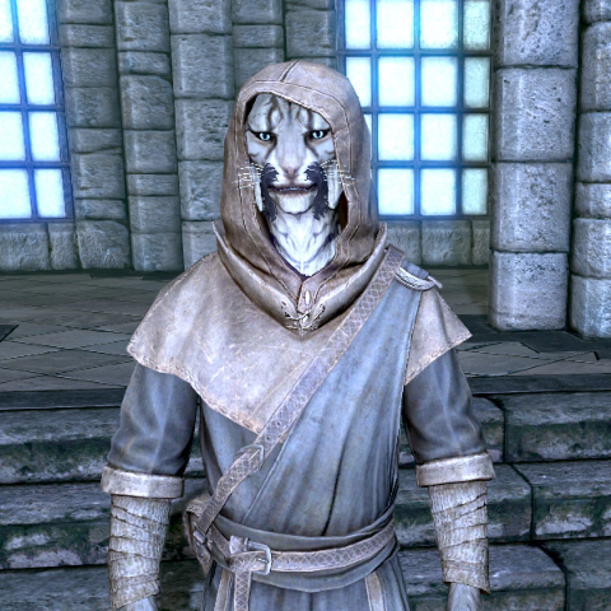 I am part of the College of Winterhold in Skyrim.