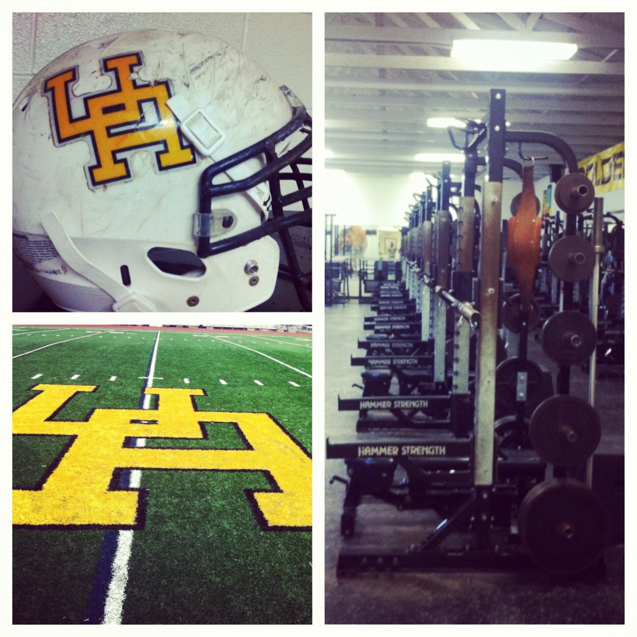 UABearstrength's profile picture. 