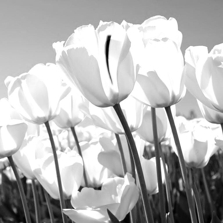 capriomarta's profile picture. 