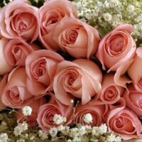 الجوري (@gorey37) 's Twitter Profile