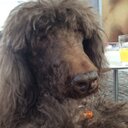 Marc Lessard - @Mac4440Marc - Twitter