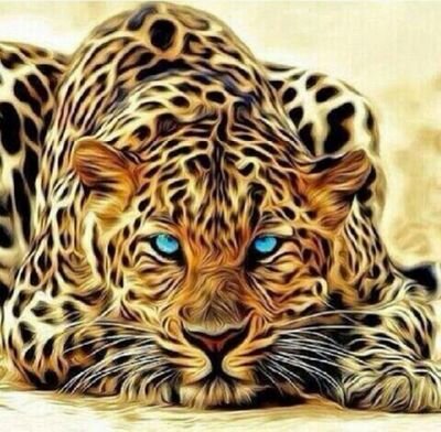 nasser0541100's profile picture. 