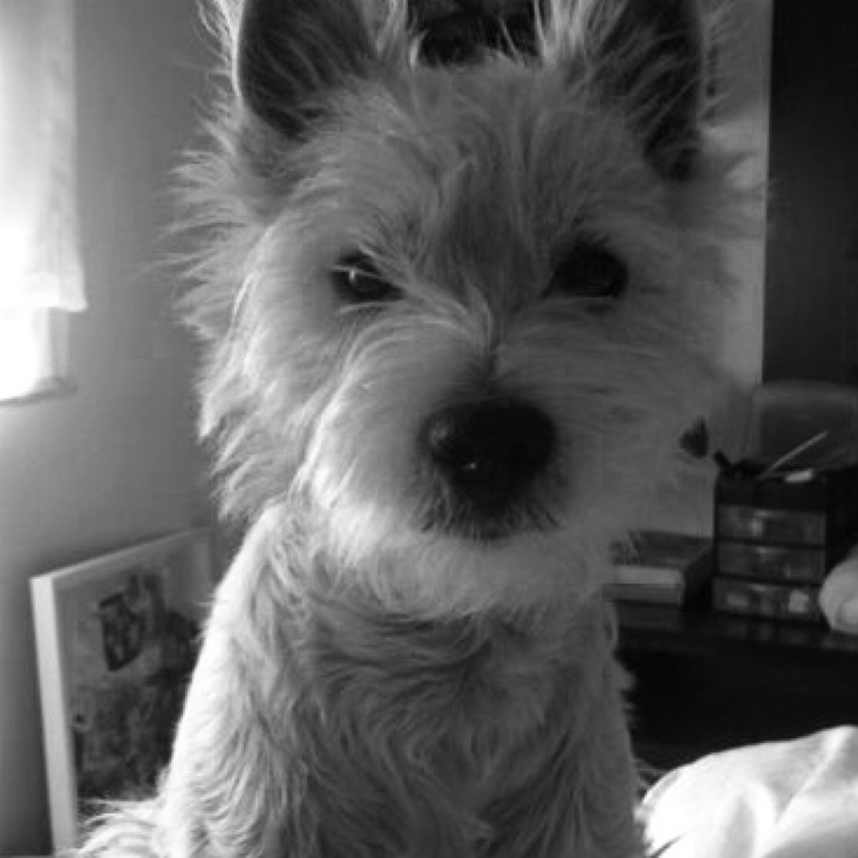 SahilyTamara's profile picture. 