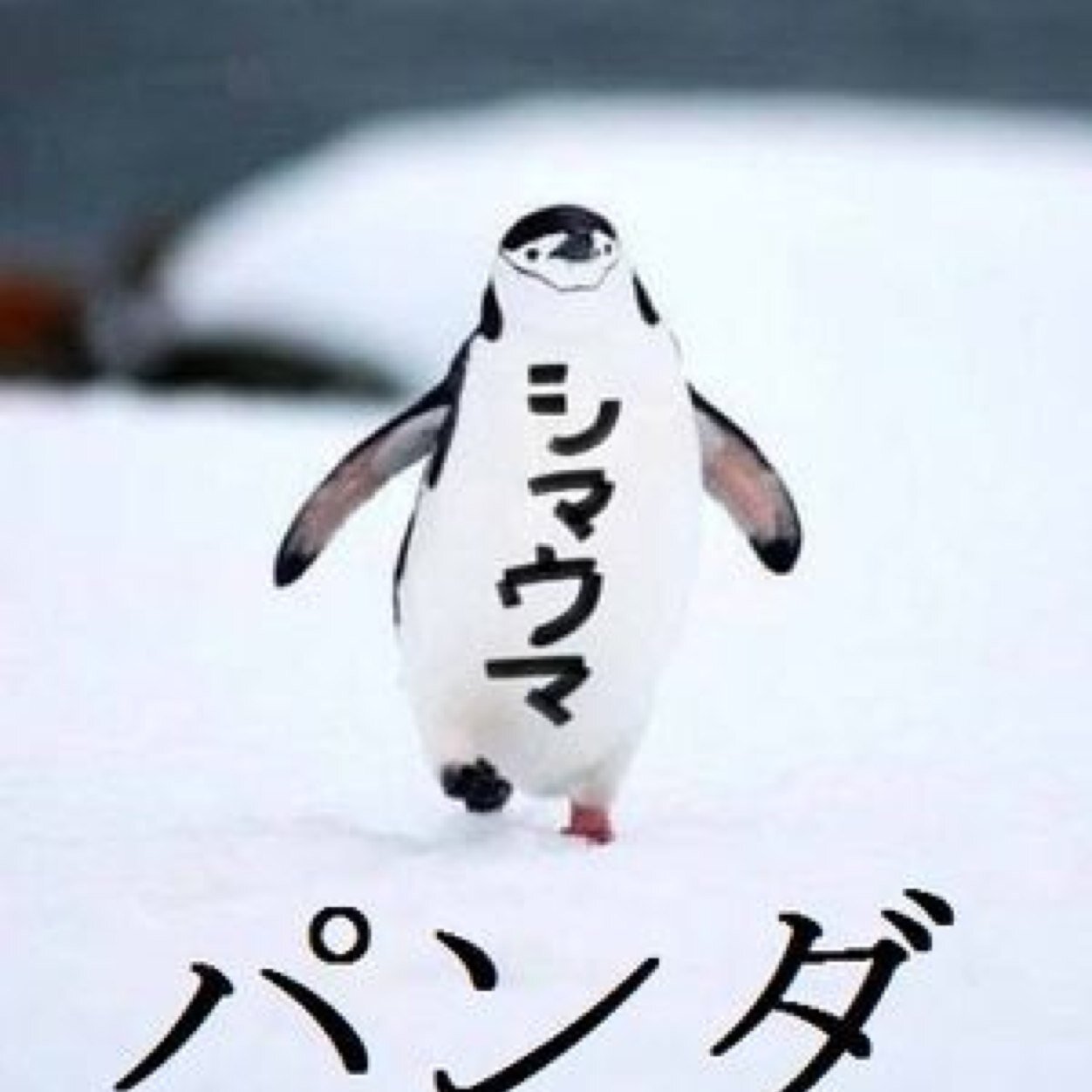 だらだらと生きてます