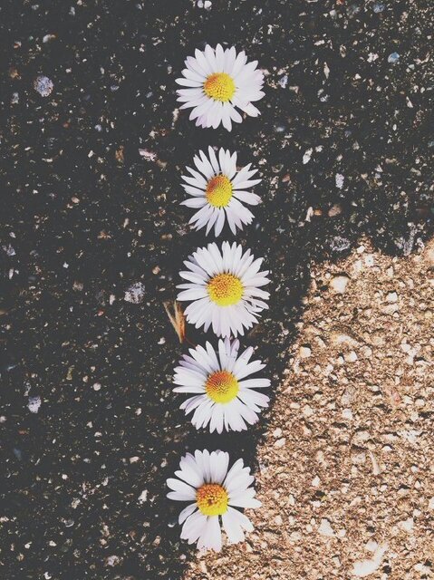 @9D8H_405 ..