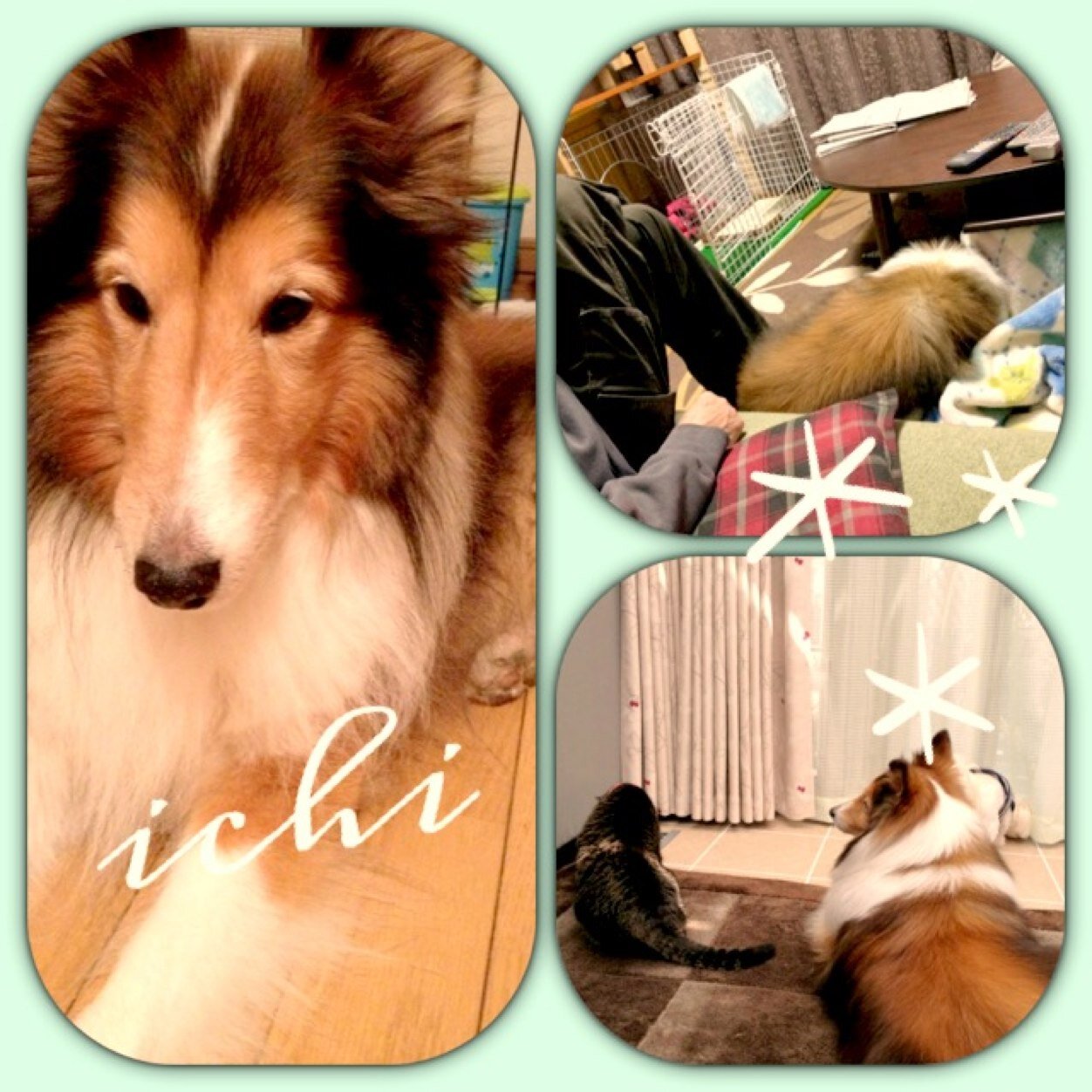 maicro48さんのプロフィール画像