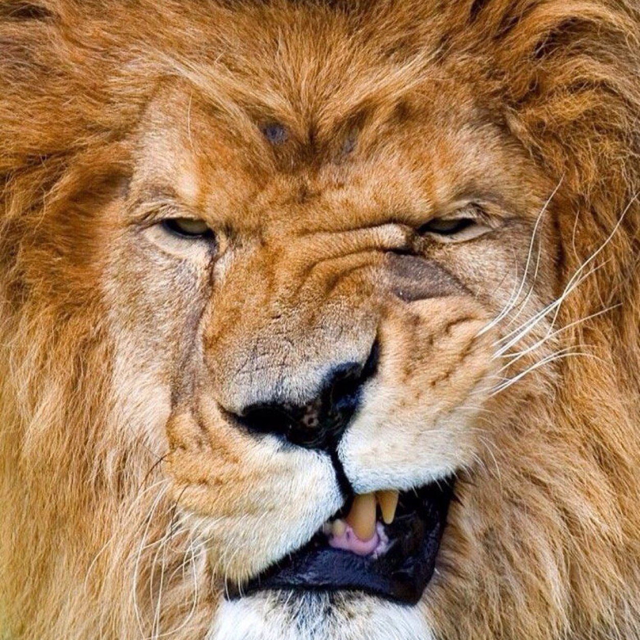 2001Farley's profile picture. God is #1 but baseball is my lyfe⚾️⚾️⚾️⚾️