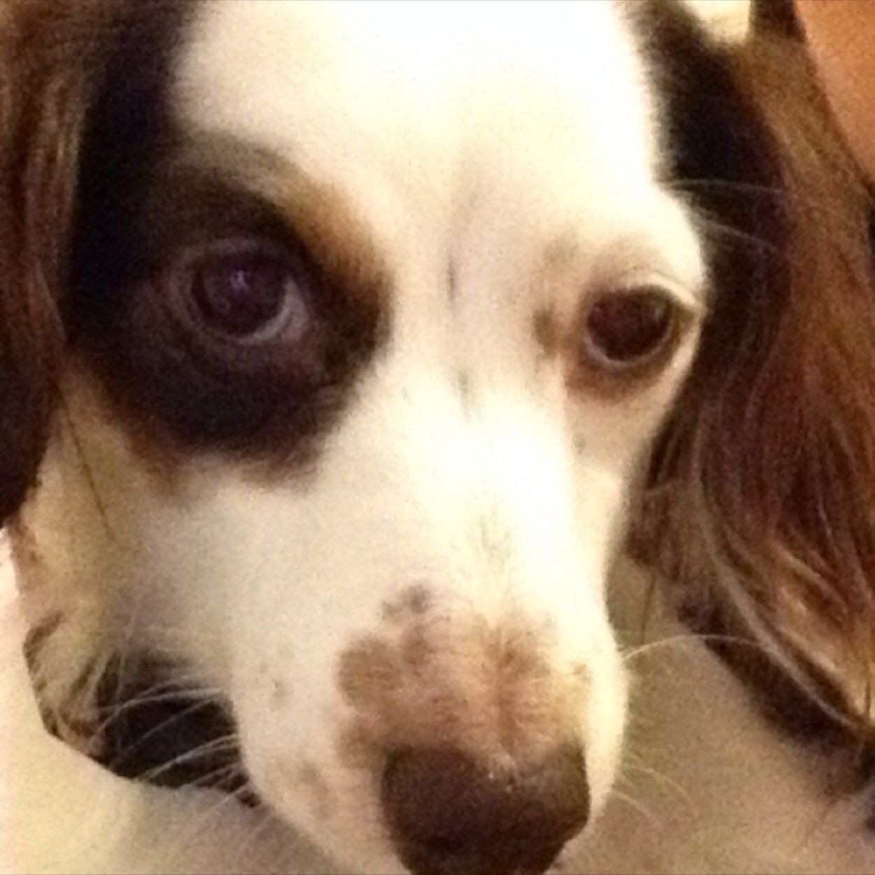 Savanna10113294's profile picture. 