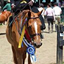 Ashleigh Glorioso - @AshleighRamey - Twitter