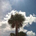 imjfo's profile picture. * 1st grade teacher   *Amazon wish list https://t.co/eMZfK9d1KO