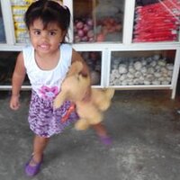 amaury viloria v (@aviloriav) 's Twitter Profile