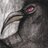 TUE_TUE's profile image