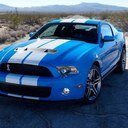 dlokus21's profile picture. 