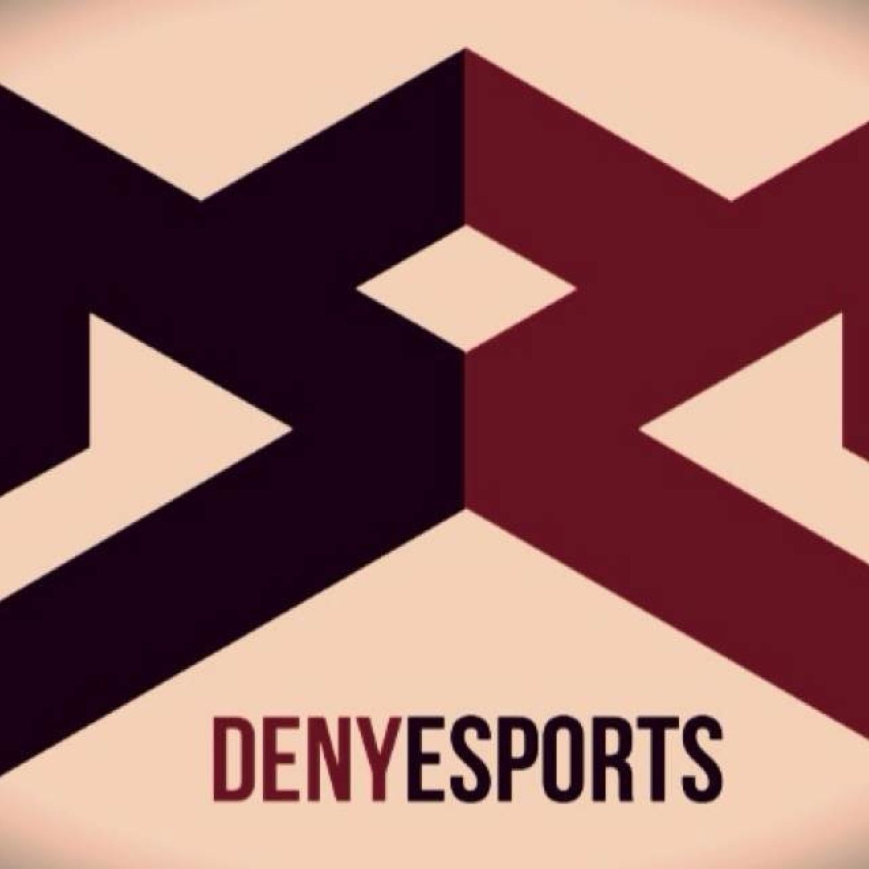 Deny eSports/ onwer @MLG_Voidd/ Powered By : @Gamer_Apperal @CinchGaming @BattleBeaverC , @NoScopeGlasses (Deny) for 5% off