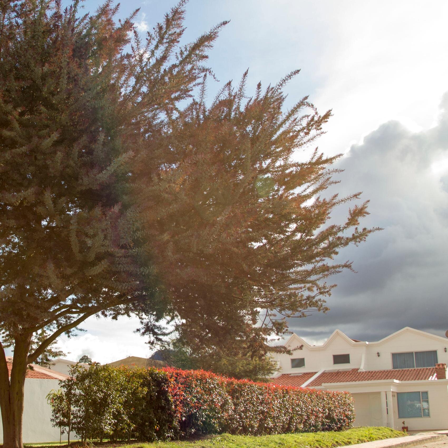 Condominio Las Acacias