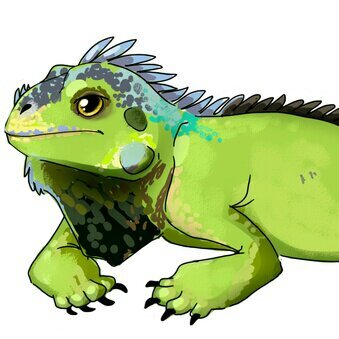 A normal iguana with normal iguana needs.