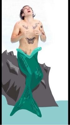 wheresmylobster's profile picture. 