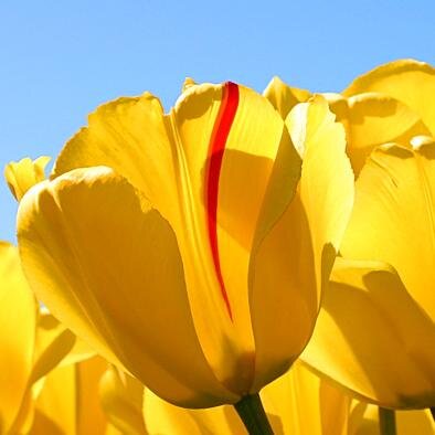 Lindana_betalab's profile picture. Me add no FOURSQUARE https://t.co/fr2qfqveYq