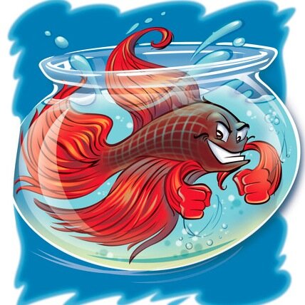 Splendid Bettas is dedicated to sharing info about the Betta species.