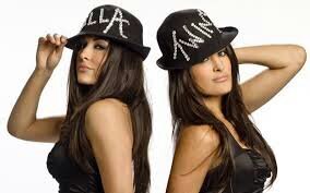 @wwesheamus favorite my tweet June 15 @ 10:17 im a wwe and total divas fan Shawn Michaels The Bella Twins (@nicoleandbri) #nena #braniel
