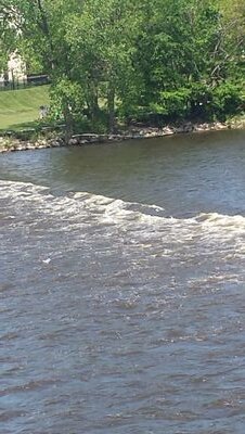 tardymom's profile picture. A mom who is always late for things.