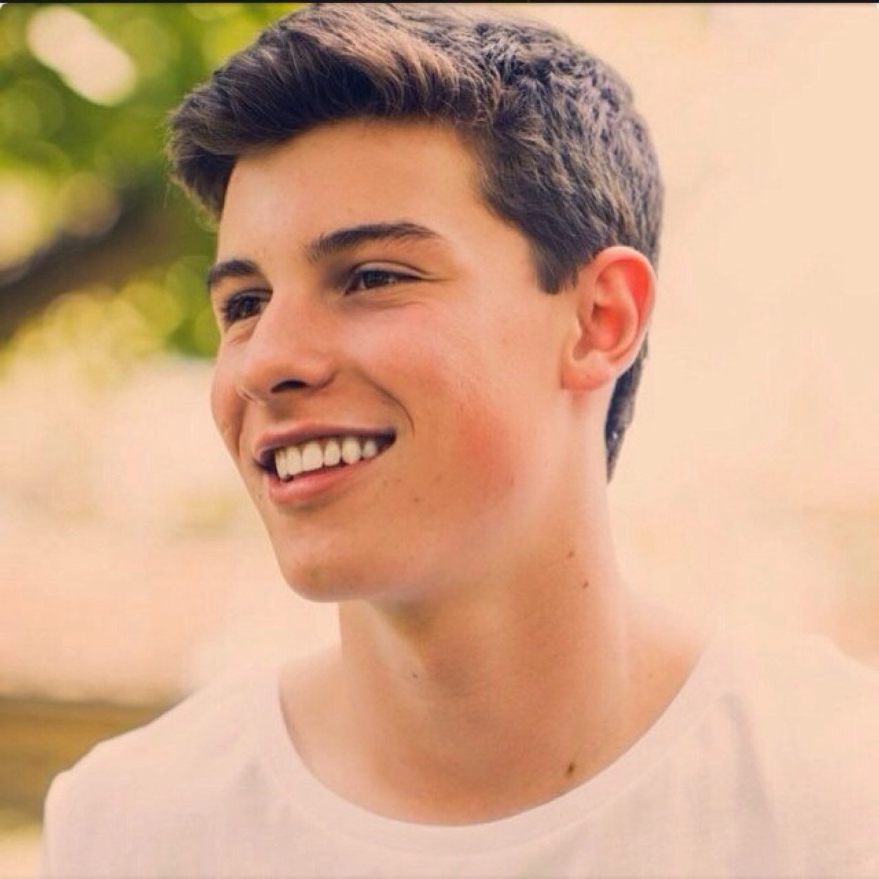 This account is for Shawn Mendes reports and news!