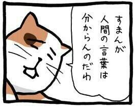 建築設計事務所勤務 /構造担当 /今年こそ一級建築士