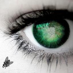 WoMantodea's profile picture. Come and feel my warm embrace! Join me and watch this mortal world burn itself to cinders.